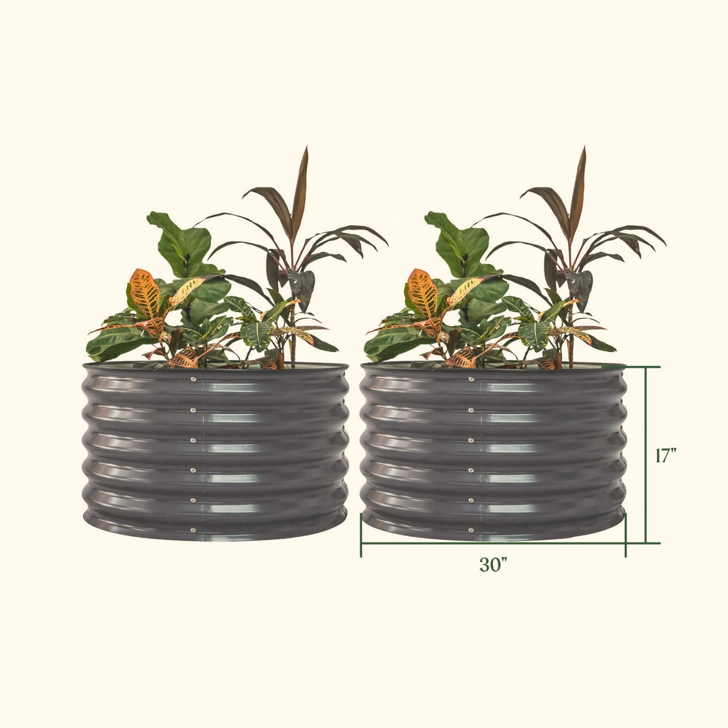 Two Olive Green berry garden raised beds with the dimensions of one of the planters outlined as follows: 30 inches wide by 17 inches tall.