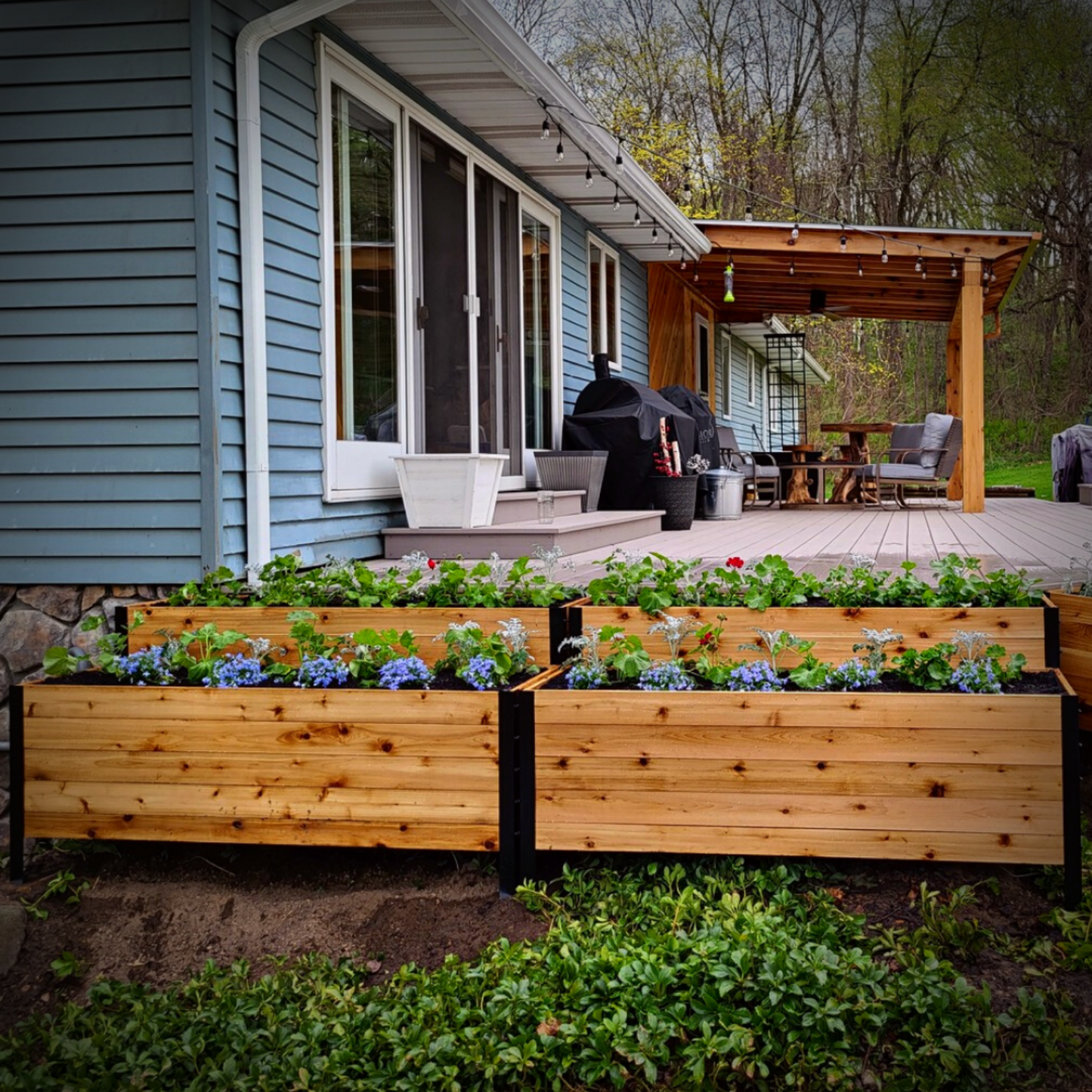 Four 18x60 inch planter boxes filled with colorful flowers in a backyard setting