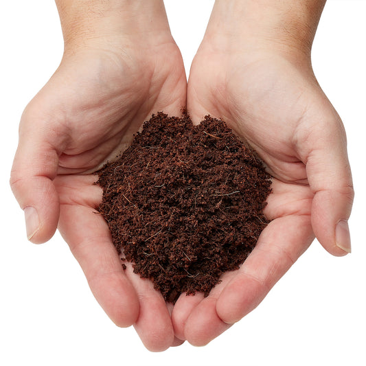 Hands holding hydrated Urban Worm Coco Coir on a white background