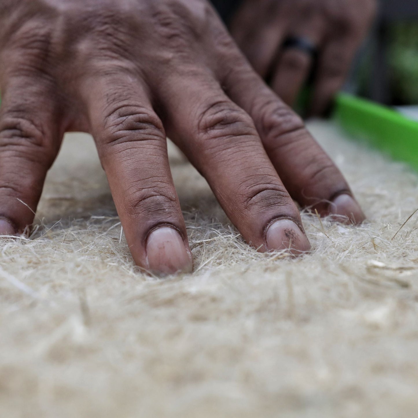 Close-up of hand pressing hemp grow mat to show natural fiber texture of soilless growing medium used for microgreens and hydroponics