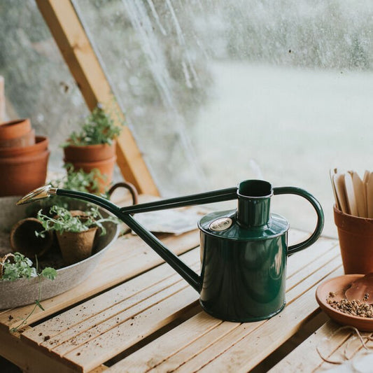 Set de regalo Haws Gardener - Rowley Ripple & Spritzer