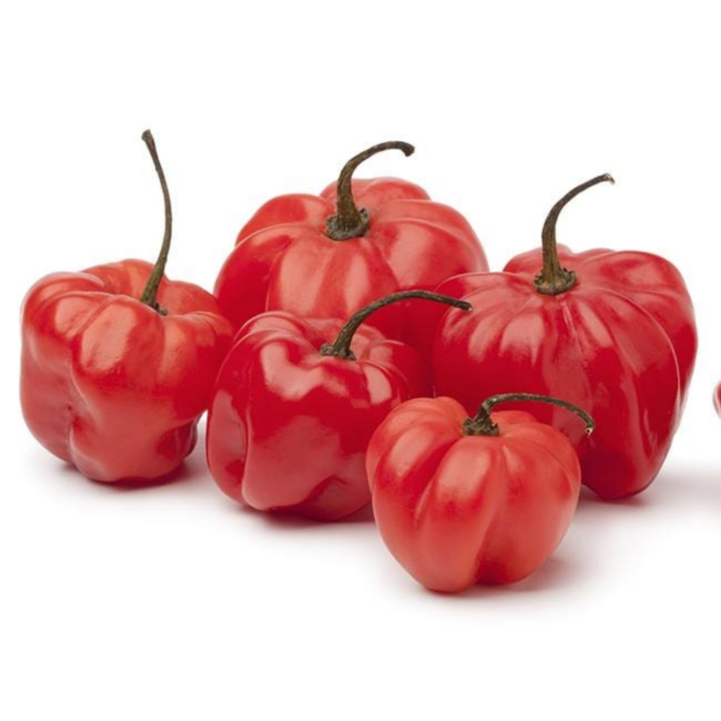 multiple red scotch bonnet peppers shown to represent seeds for sale on white background