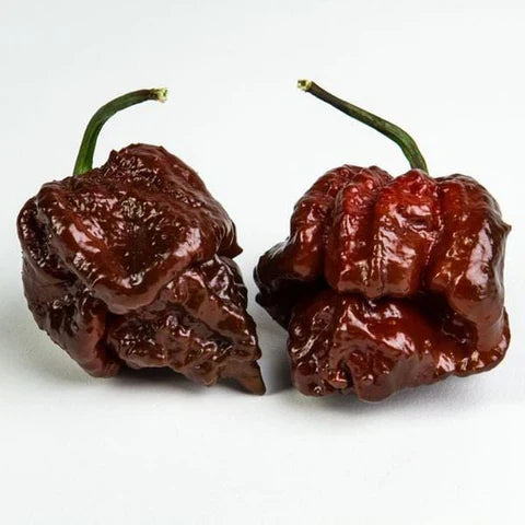 What Do Chocolate Peppers Taste Like?
