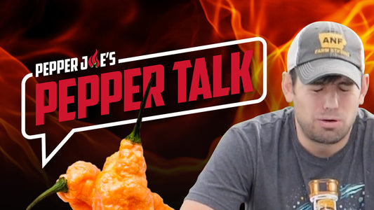 Keaton Eats a Jay’s Peach Ghost Scorpion Pepper (900,000 SHUs)