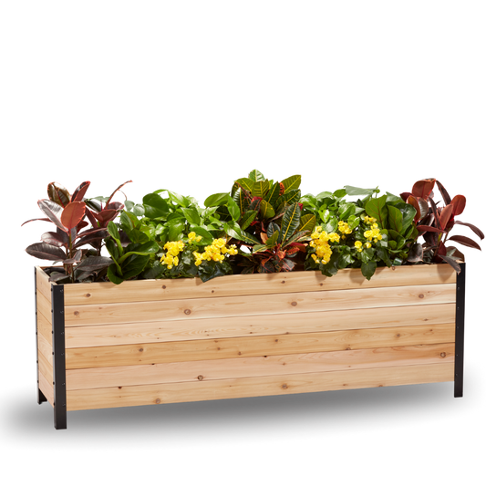 Cedar Planters