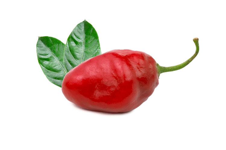 rocoto peppers