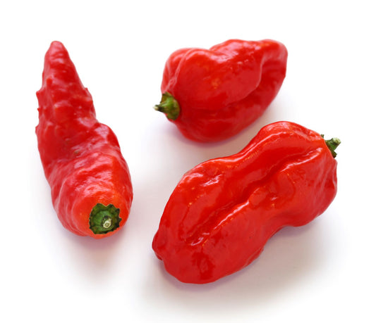 Naga Pepper Seeds