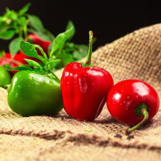 Manzano Pepper Seeds