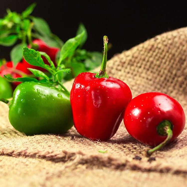 Manzano Pepper Seeds