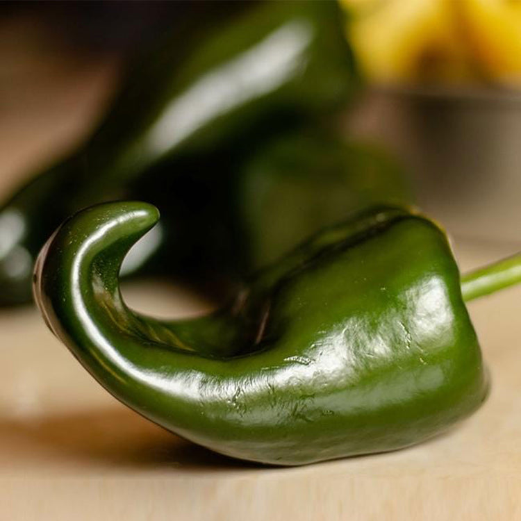 Mexican Chili Pepper Seeds