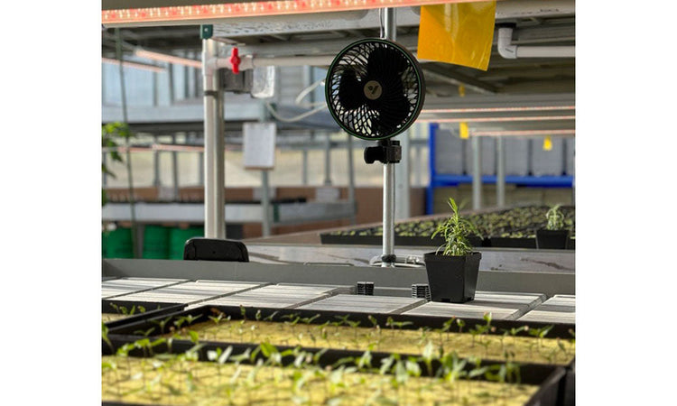 Hydroponics & Systems