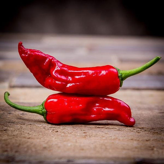 Pepperoncini Seeds