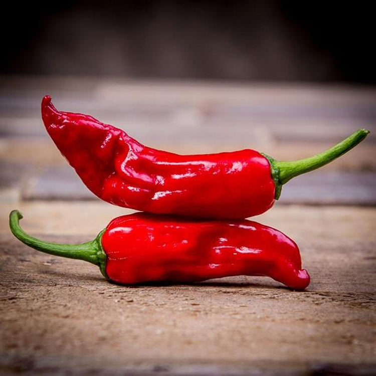 Pepperoncini Seeds