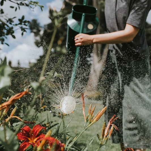Watering & Irrigation