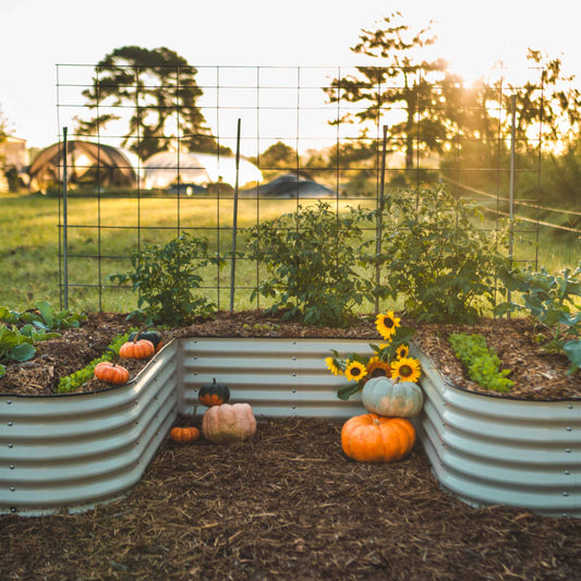 Garden Beds