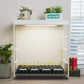 1 Tier Tabletop Indoor Grow Light with seedlings in the tray on a kitchen counter next to a window. 