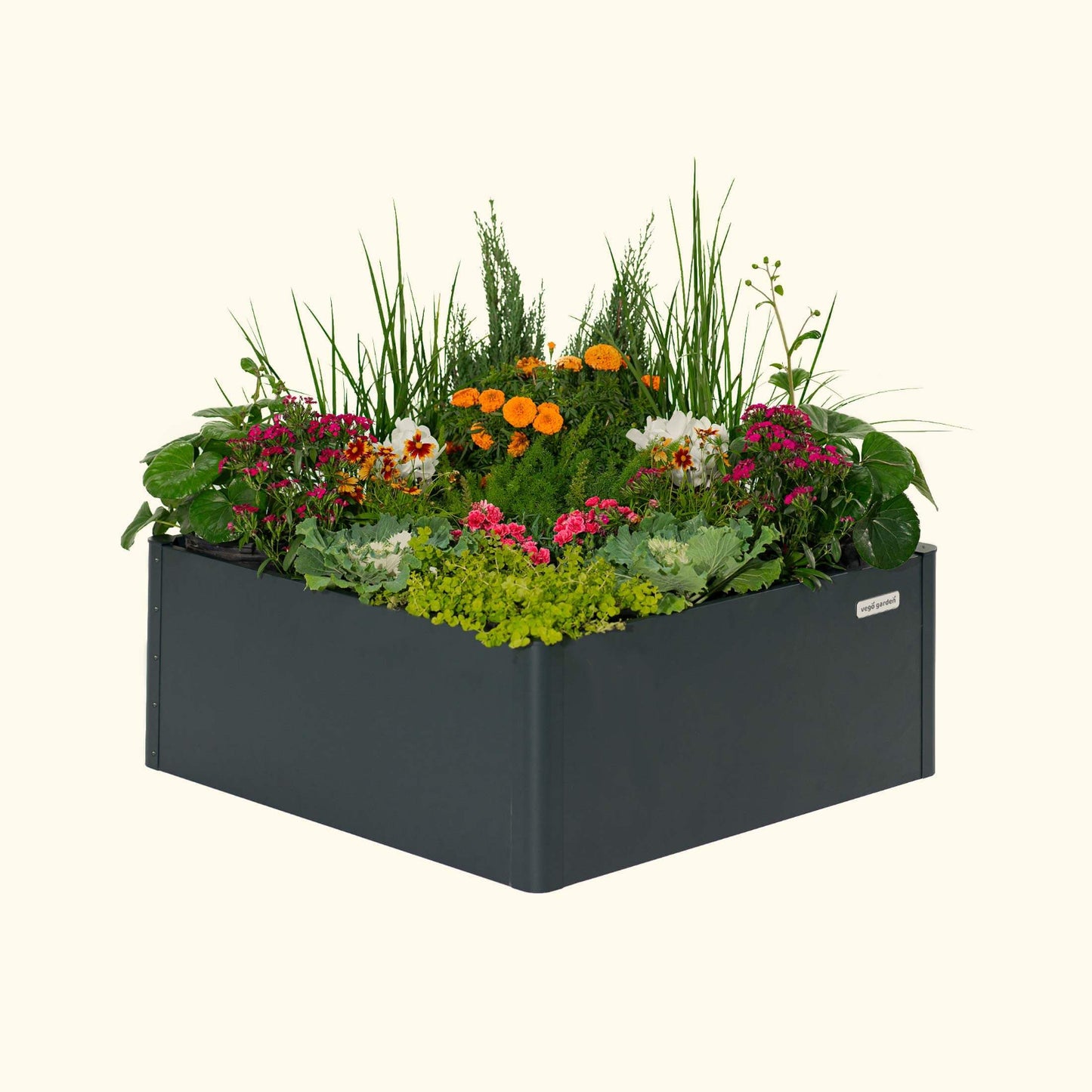 Midnight Blue modern square raised garden bed with colorful flowers and plants on a white background.