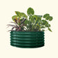 A british green 42 inch round metal raised garden bed with colorful flowers and plants on a white background.