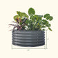 Modern gray 42 inch round metal planter with plants and dimensions on a white background.

Dimensions are 42 inches wide by 17 inches tall.