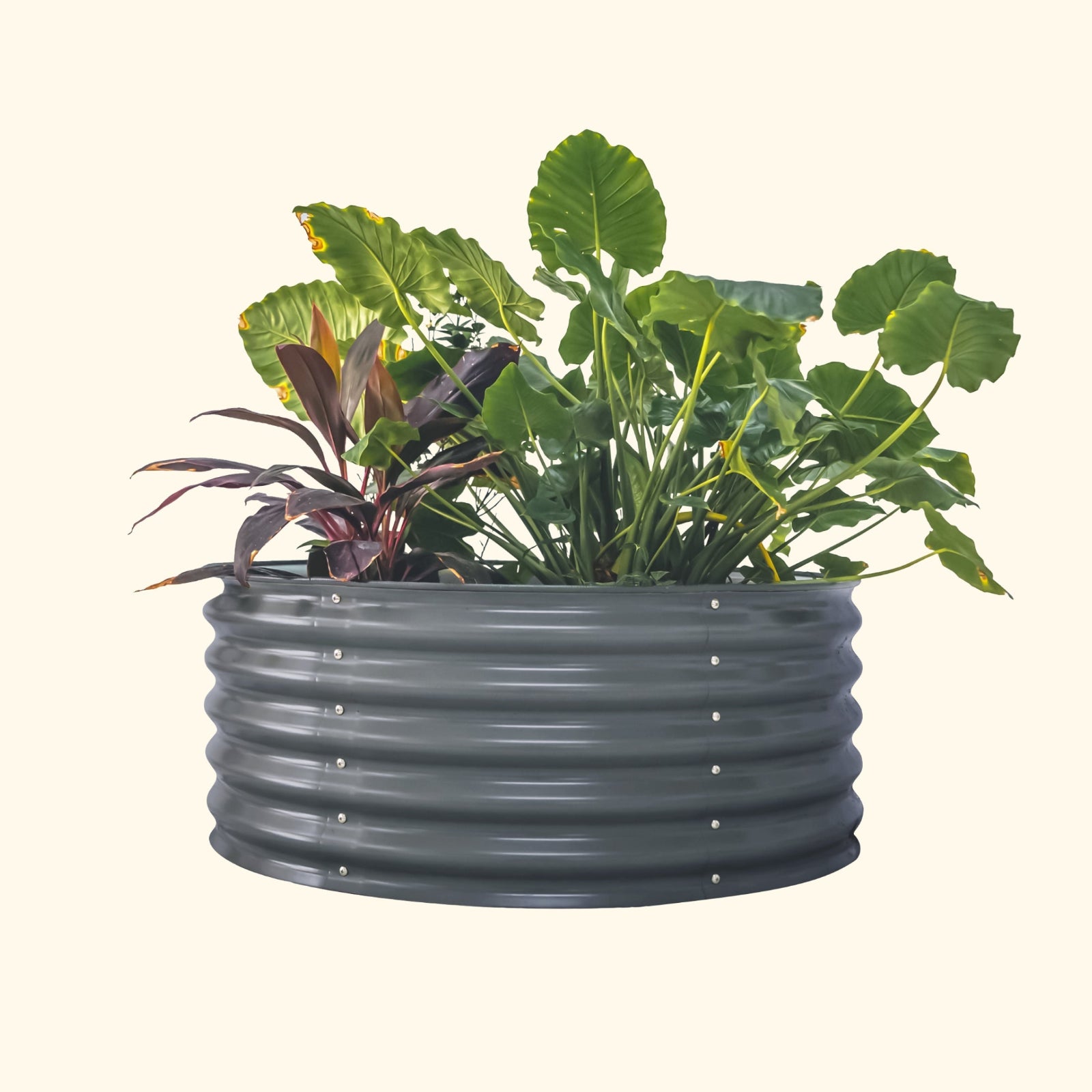 A modern gray 42 inch round metal raised garden bed with colorful flowers and plants on a white background.