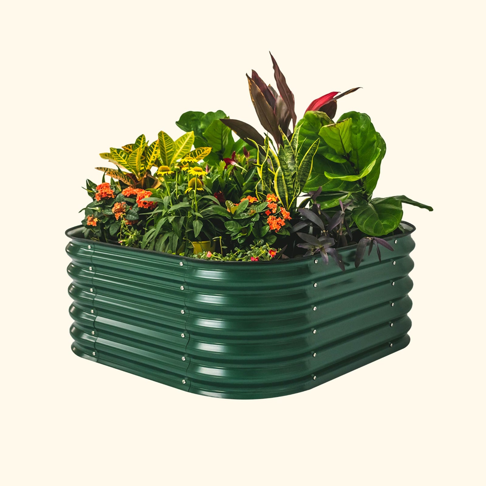 A British green 4 in 1 small modular metal raised garden bed with colorful flowers and plants on a white background.