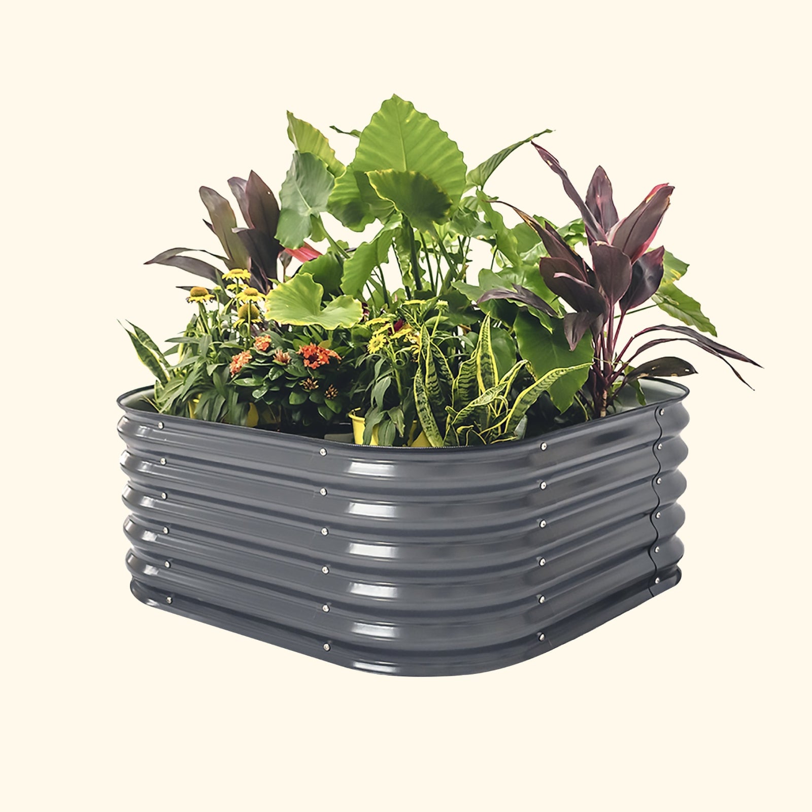 A modern gray 4 in 1 small modular metal raised garden bed with colorful flowers and plants on a white background.