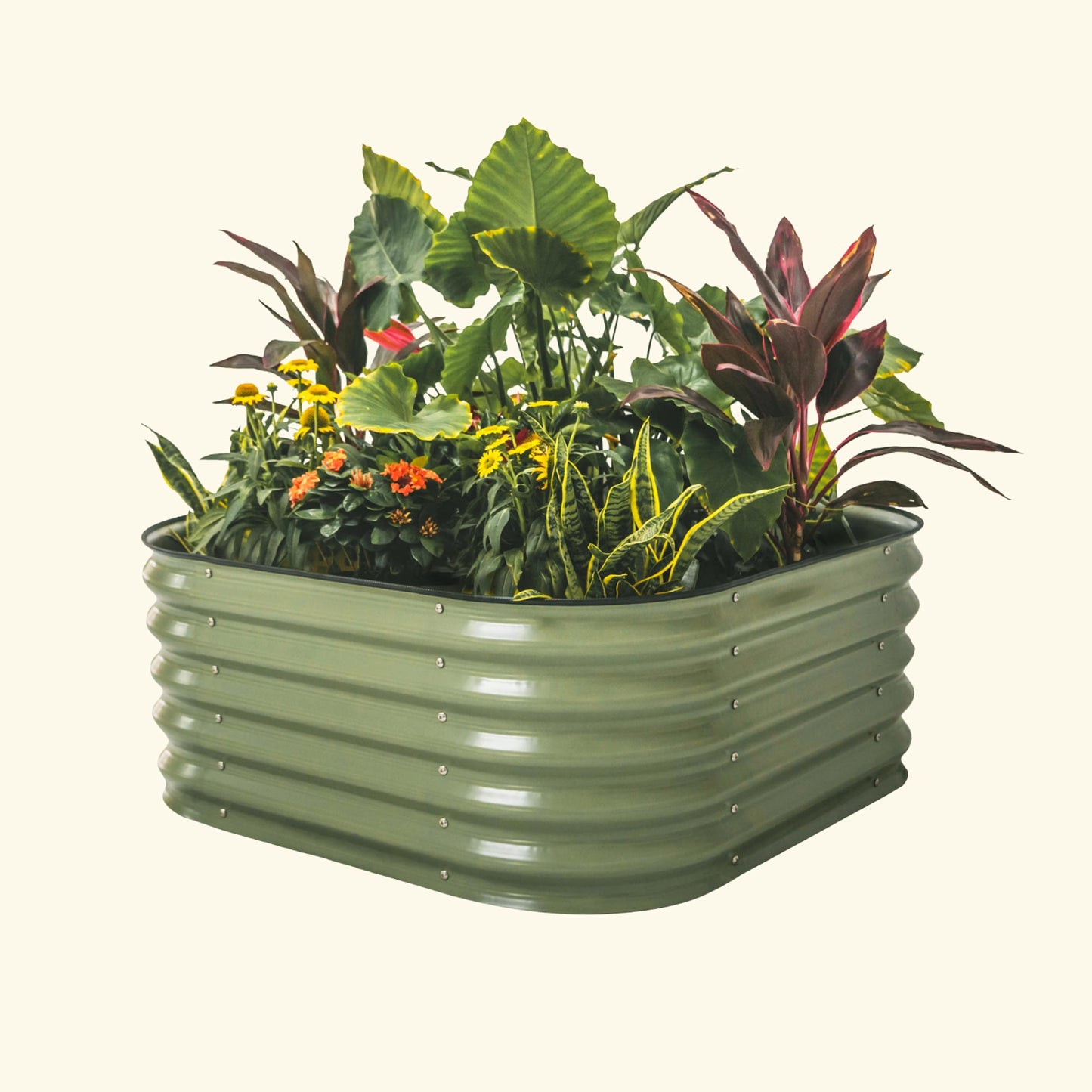 An olive green 4 in 1 small modular metal raised garden bed with colorful flowers and plants on a white background.