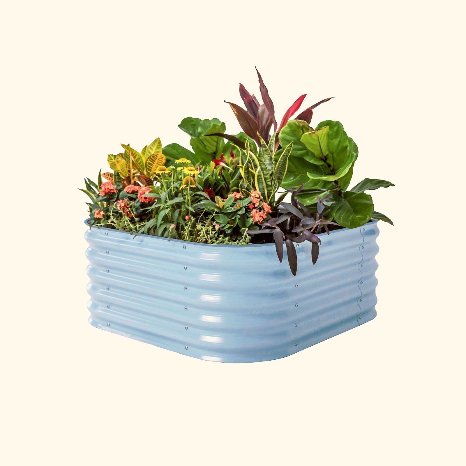 A sky blue 4 in 1 small modular metal raised garden bed with colorful flowers and plants on a white background.