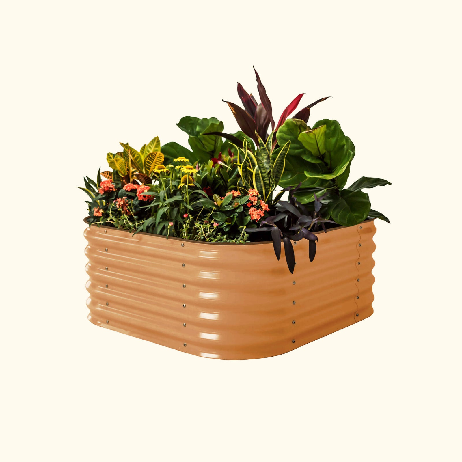 A terra cotta 4 in 1 small modular metal raised garden bed with colorful flowers and plants on a white background.