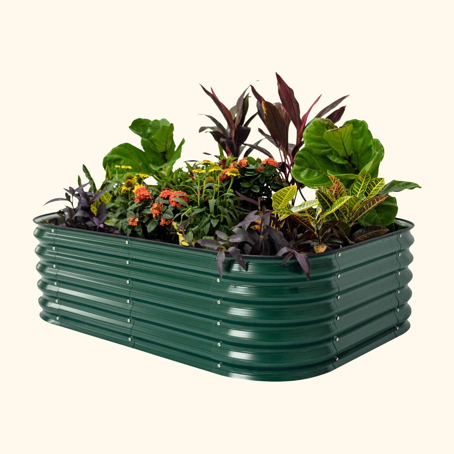 A British green 6 in 1 small modular metal raised garden bed with colorful flowers and plants on a white background.
