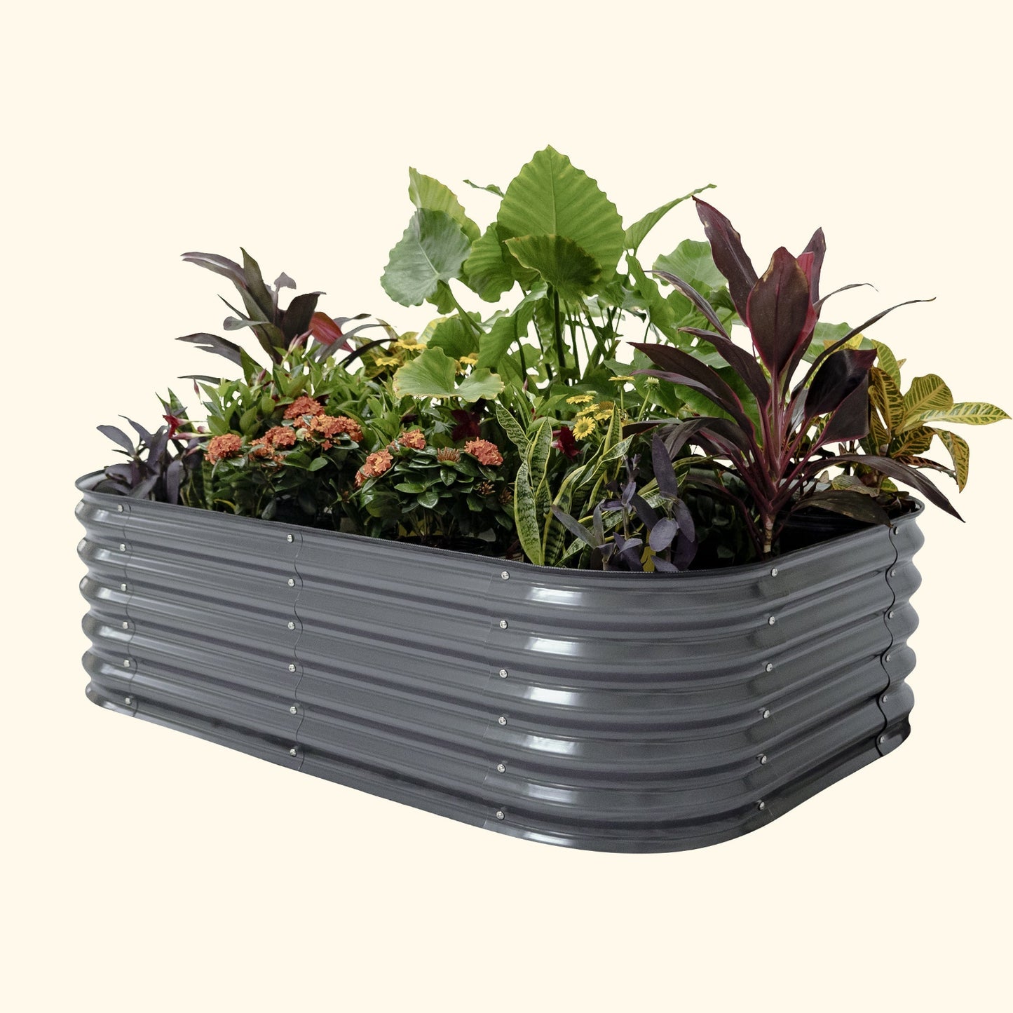 A modern gray 6 in 1 small modular metal raised garden bed with colorful flowers and plants on a white background.