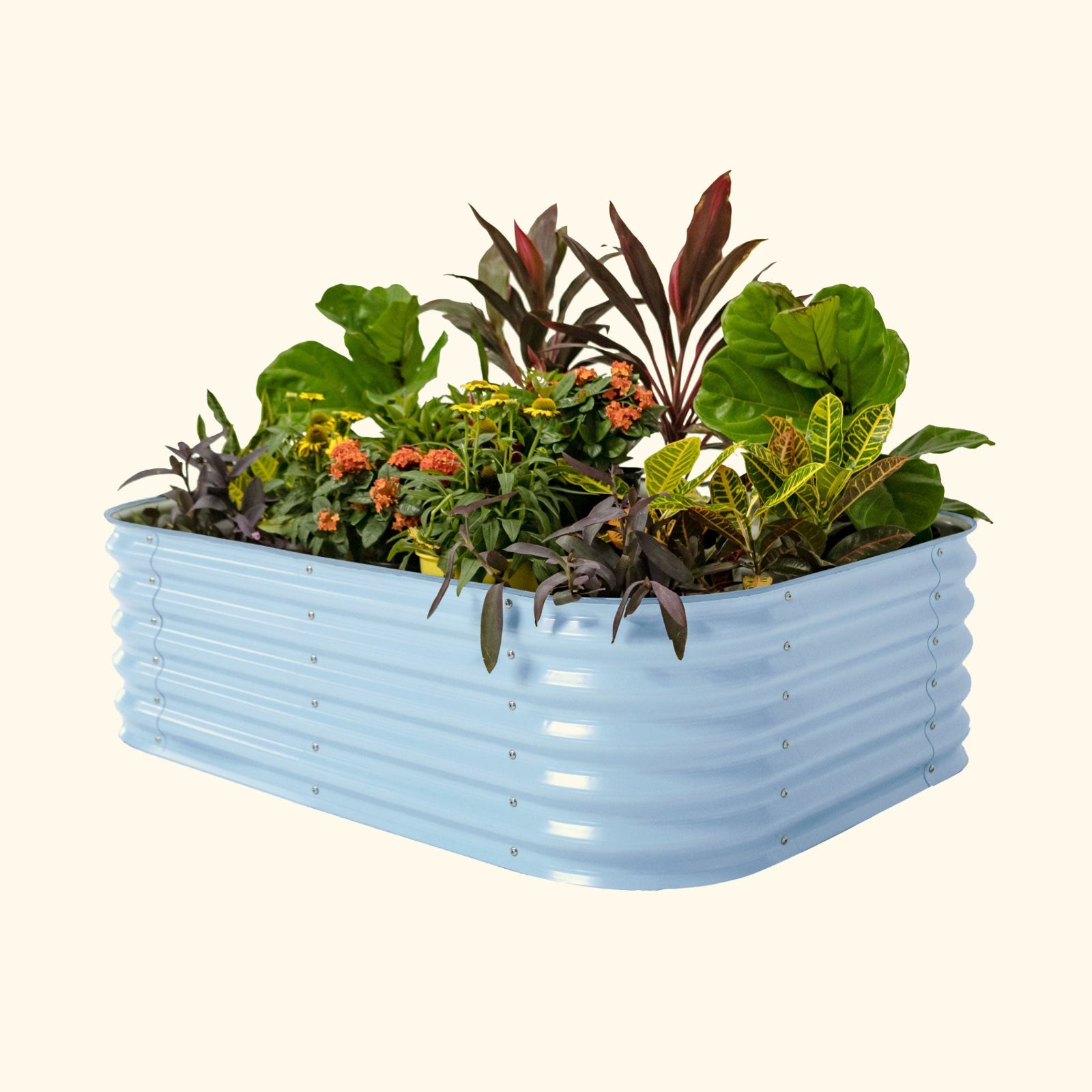 A sky blue 6 in 1 small modular metal raised garden bed with colorful flowers and plants on a white background.
