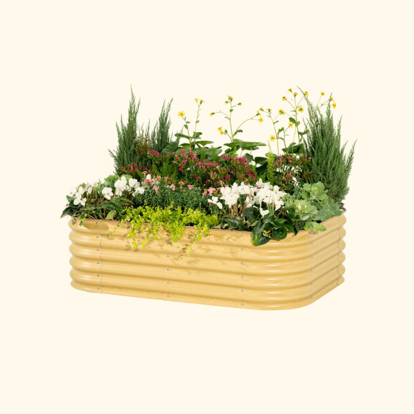 A sunlit oak 6 in 1 small modular metal raised garden bed with colorful flowers and plants on a white background.
