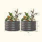 Two Olive Green berry garden raised beds with the dimensions of one of the planters outlined as follows: 30 inches wide by 17 inches tall. 