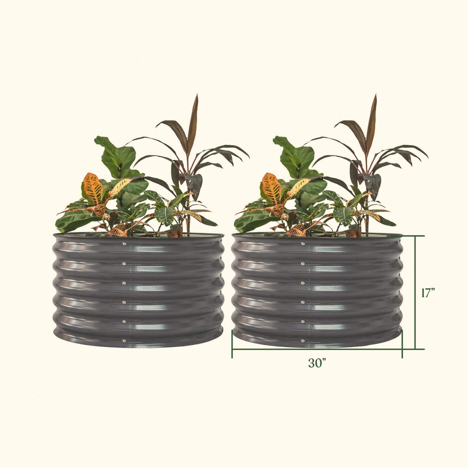 Two Olive Green berry garden raised beds with the dimensions of one of the planters outlined as follows: 30 inches wide by 17 inches tall. 