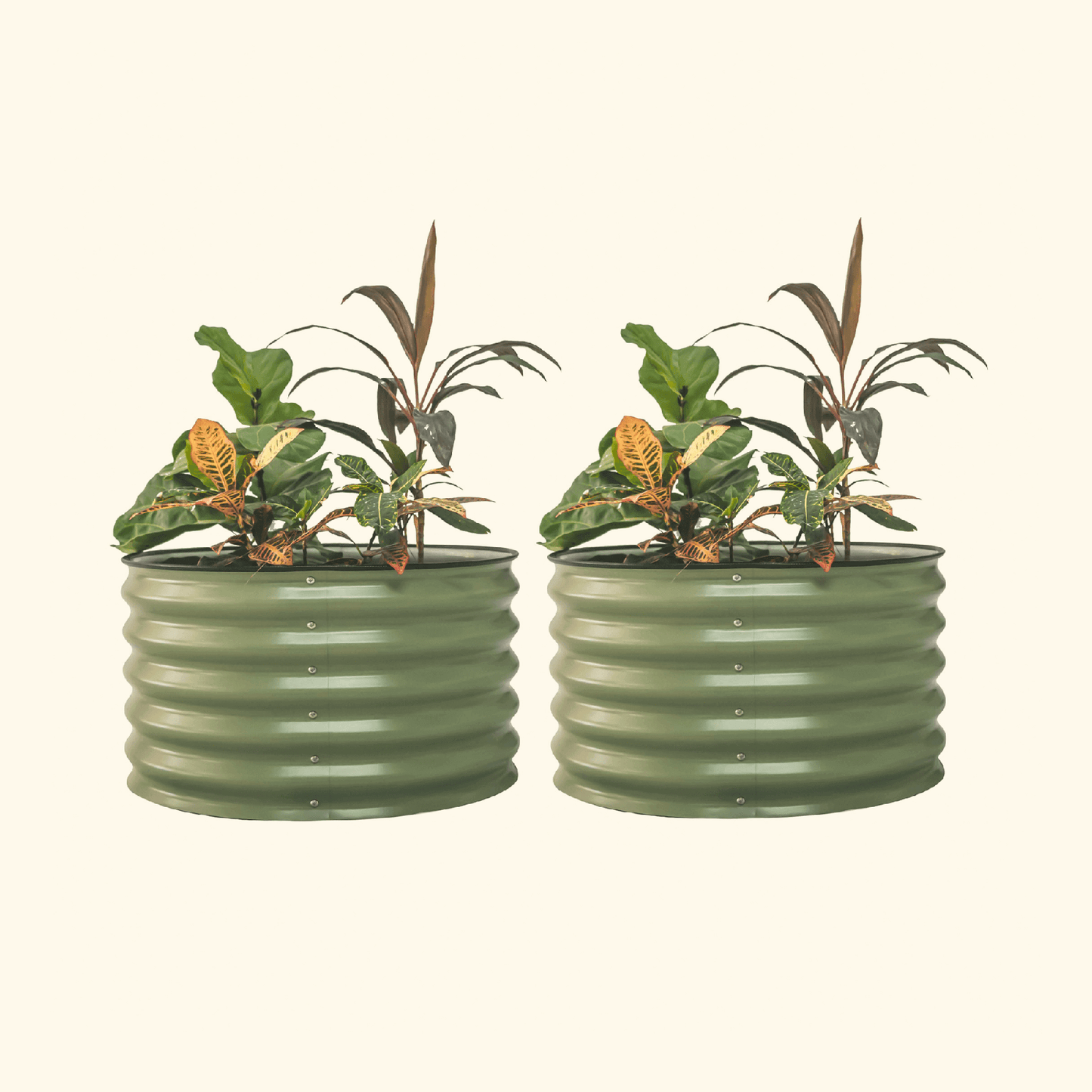 Two Olive Green berry garden raised beds with colorful flowers and plants on a white background.