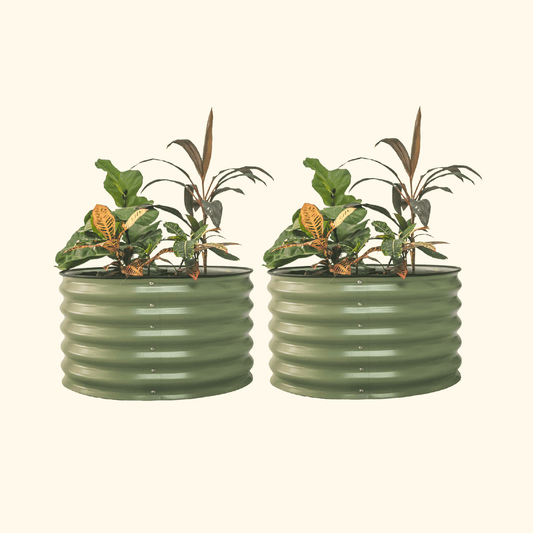 Two Olive Green berry garden raised beds with colorful flowers and plants on a white background.
