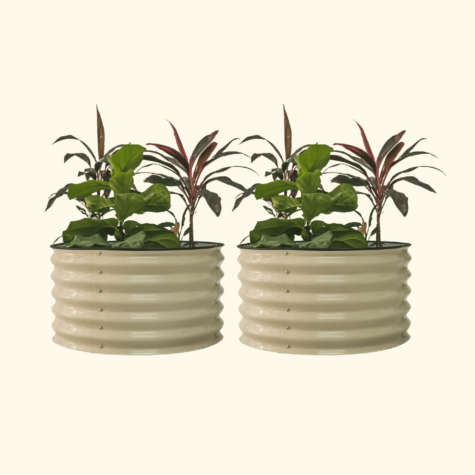 Two Pearl White berry garden raised beds with colorful flowers and plants on a white background.