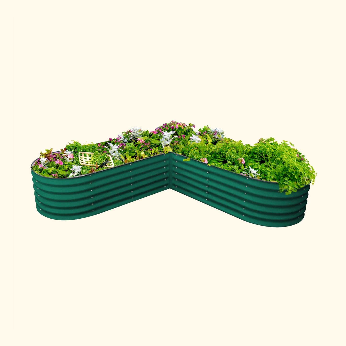 British green large L-Shaped modern raised garden bed with colorful flowers and plants on a white background.