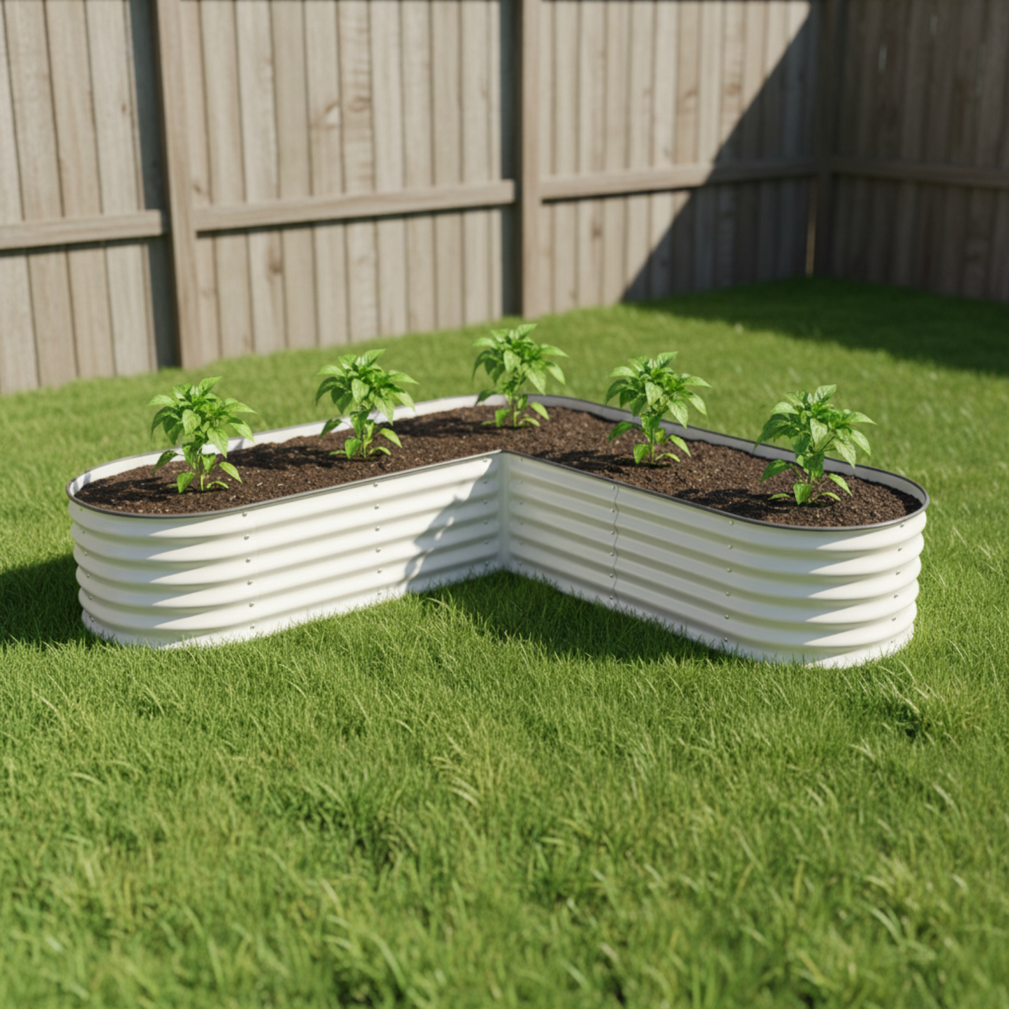 Image of the pearl white L-shaped metal raised garden bed with five young pepper plants in a backyard. 