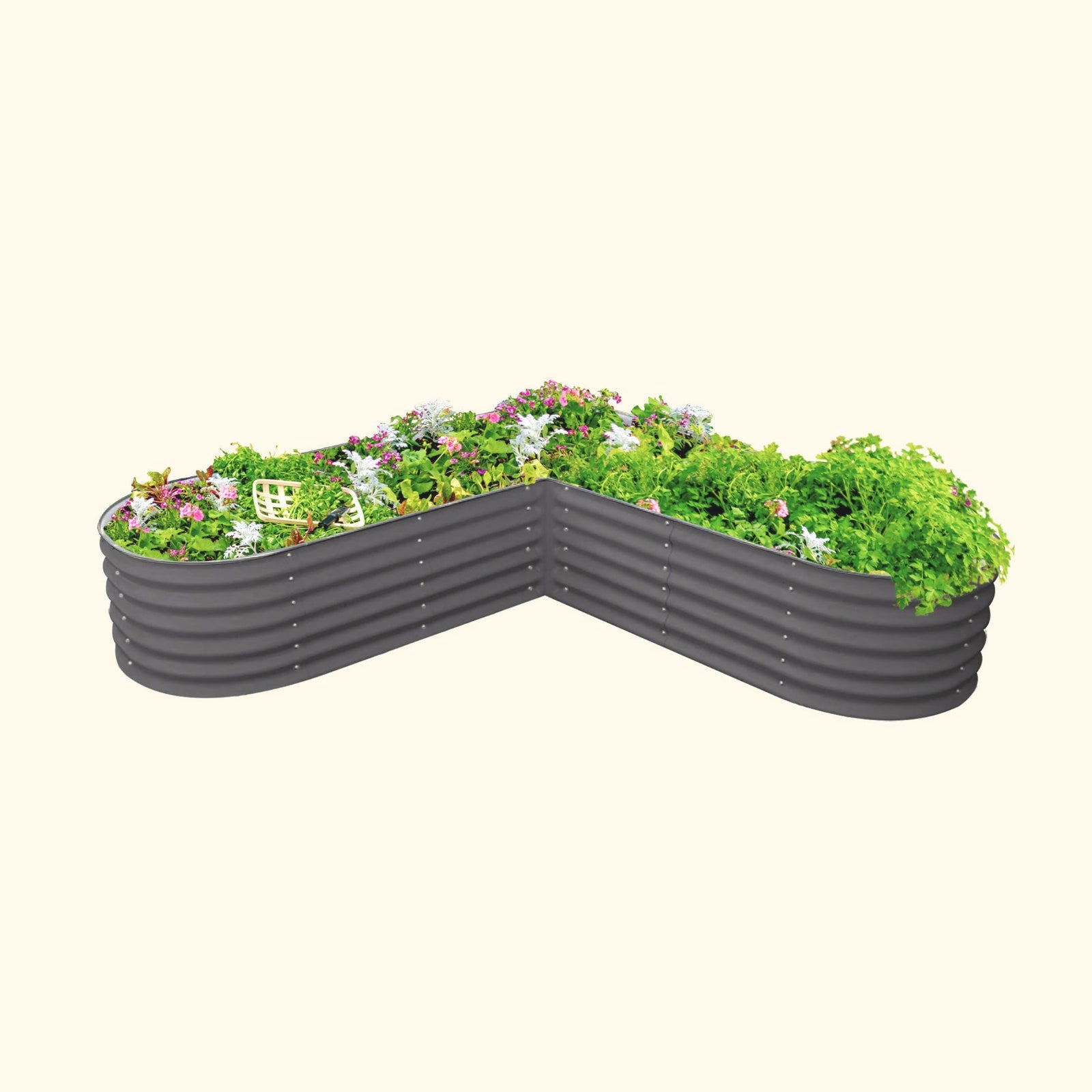 Modern Gray large  L-Shaped modern raised garden bed with colorful flowers and plants on a white background.