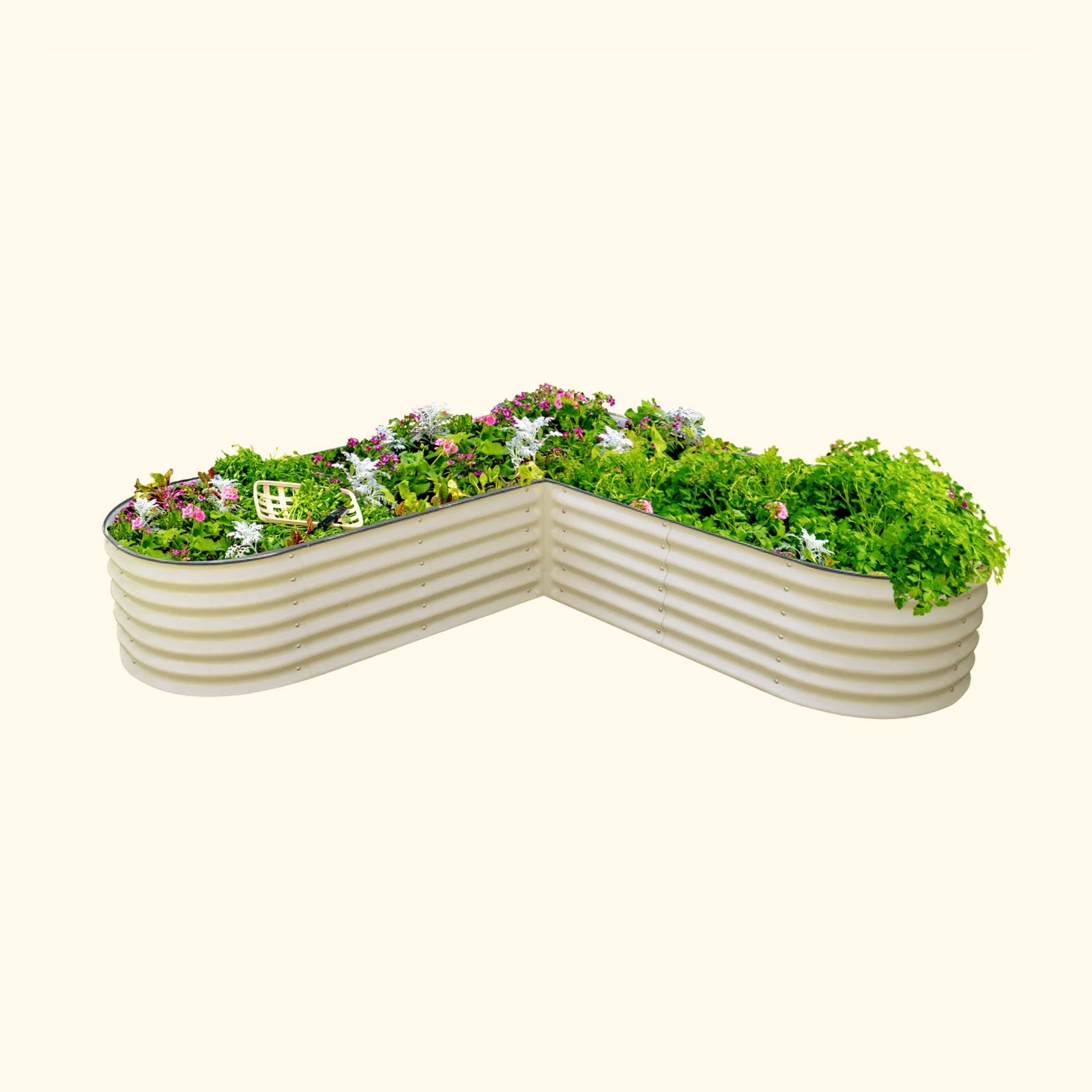 Pearl White large  L-Shaped modern raised garden bed with colorful flowers and plants on a white background.