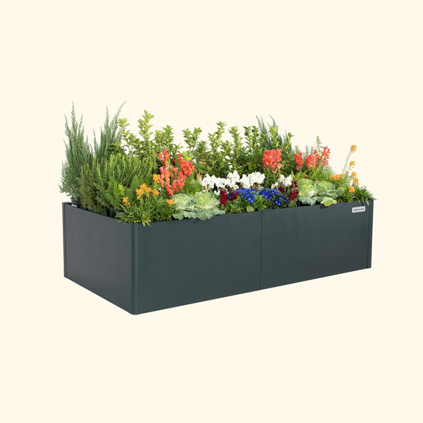 Midnight Blue tall  42 inch by 83 inch modern raised garden bed with colorful flowers and plants on a white background.