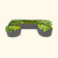 Modern Gray U-Shaped modern raised garden bed with colorful flowers and plants on a white background.