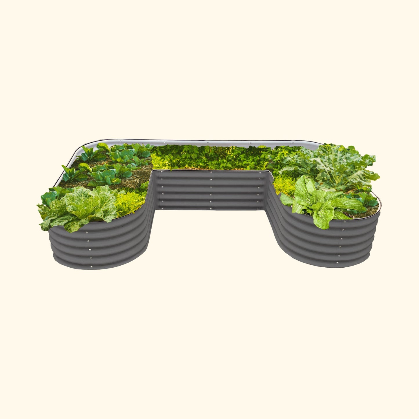 Modern Gray U-Shaped modern raised garden bed with colorful flowers and plants on a white background.