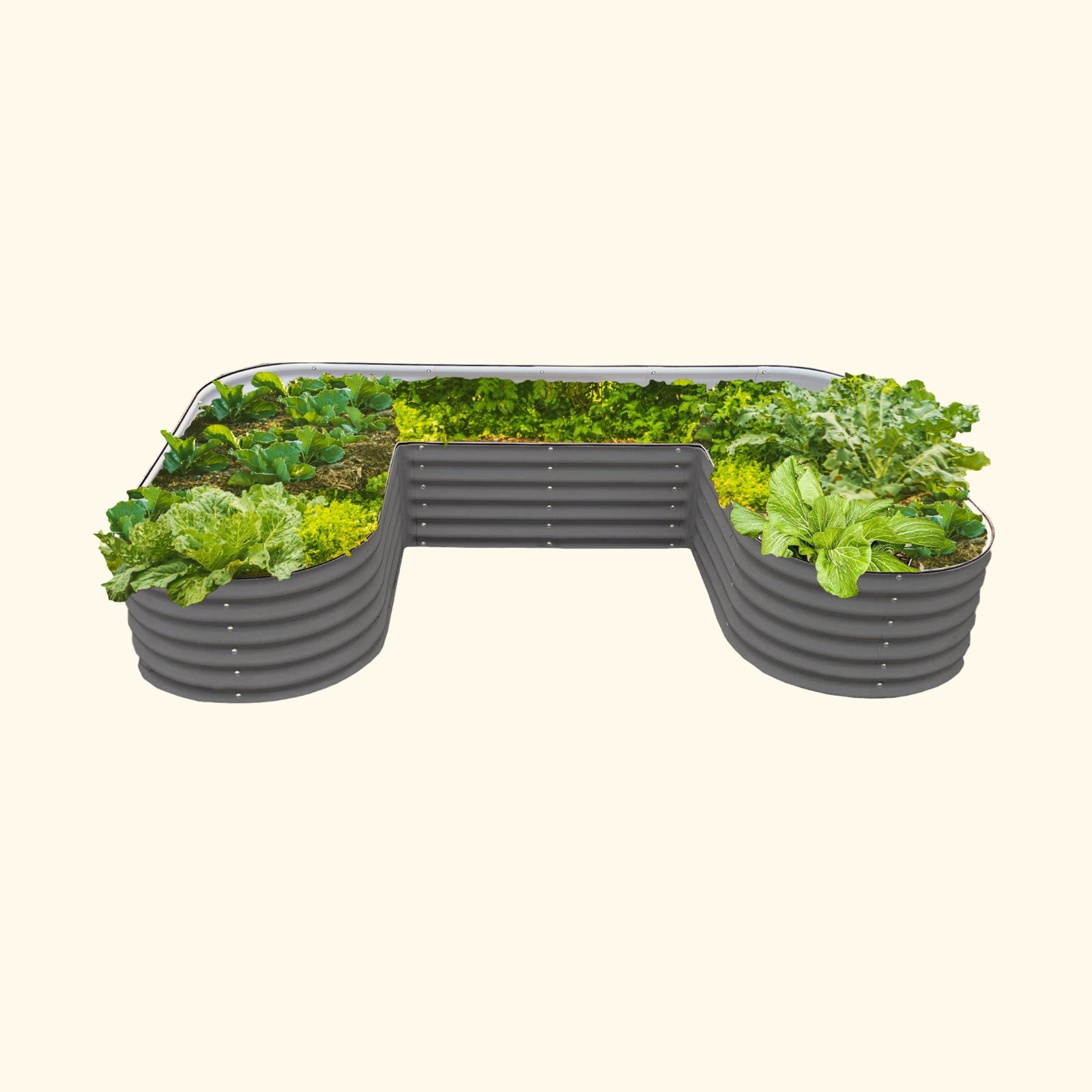 Modern Gray U-Shaped modern raised garden bed with colorful flowers and plants on a white background.