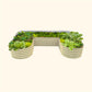 Pearl White U-Shaped modern raised garden bed with colorful flowers and plants on a white background.