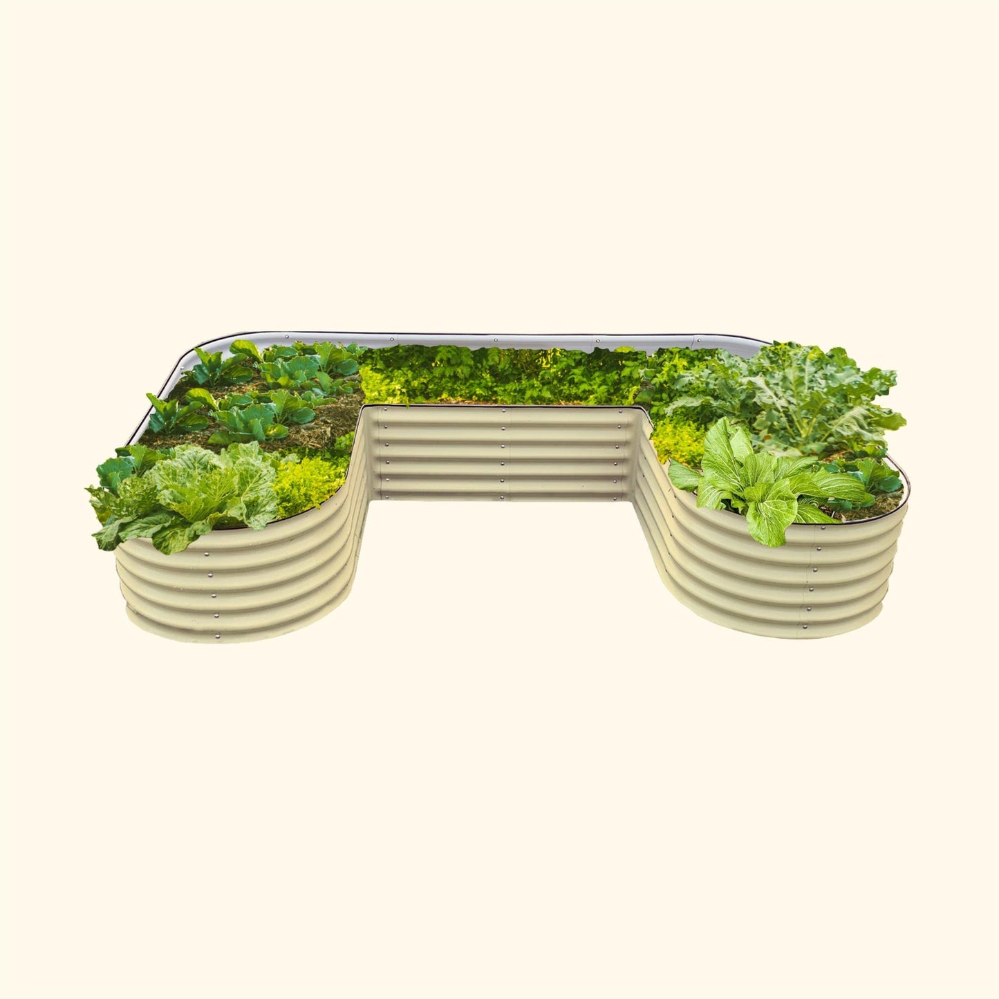 Pearl White U-Shaped modern raised garden bed with colorful flowers and plants on a white background.