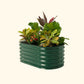 British Green kids raised garden bed with colorful flowers and plants on a white background.