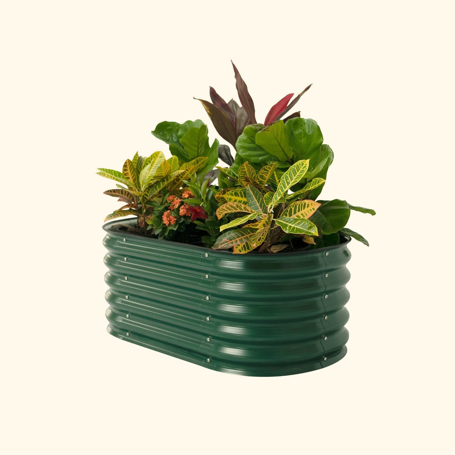 British Green kids raised garden bed with colorful flowers and plants on a white background.